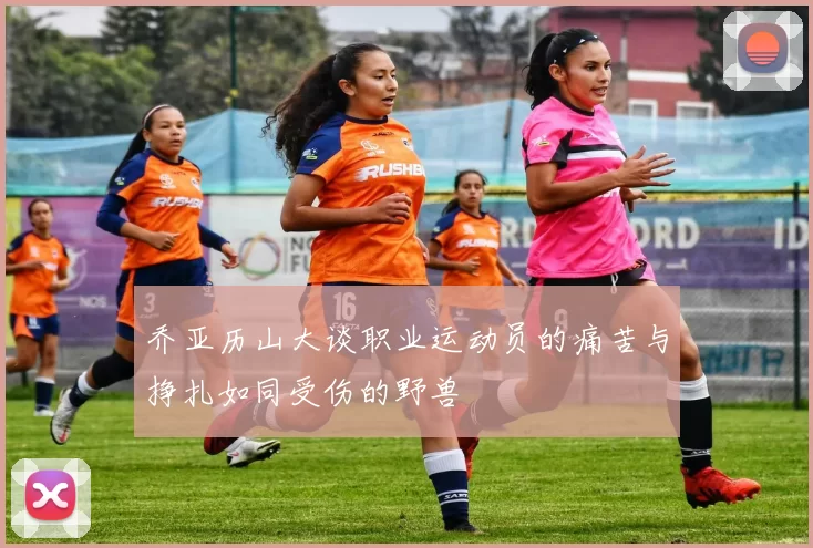 乔亚历山大谈职业运动员的痛苦与挣扎如同受伤的野兽